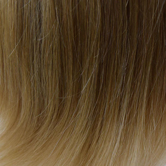 8/14T | Light Chestnut Brown tipped w/ Honey Blonde