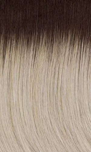 60/101GR | Silver tones with Light Platinum highlights and Brown roots